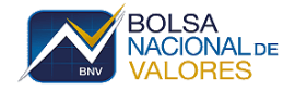 Bolsa de Valores Nacional logo