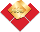 Malawi Stock Exchange logo