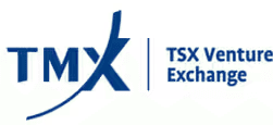 TSX Venture Exchange logo